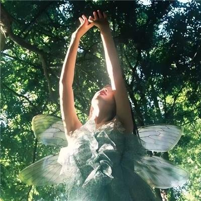 如果这些墙会歌唱